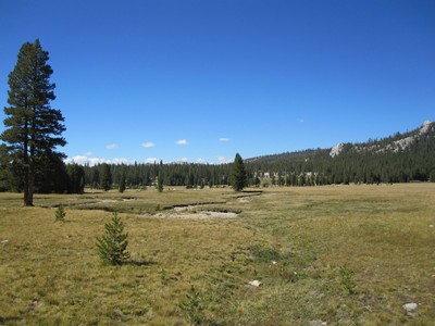 Toulumne Meadow