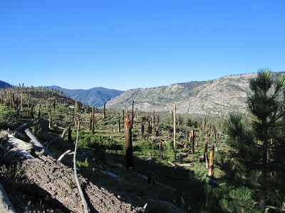 Burned area past Reds Burned area past Reds