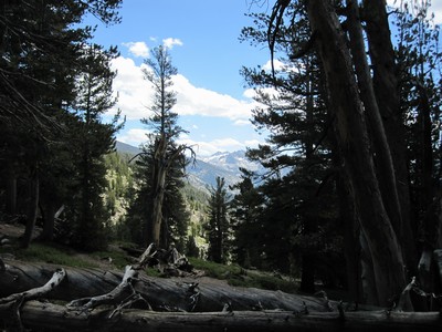 Deer Creek Deer Creek