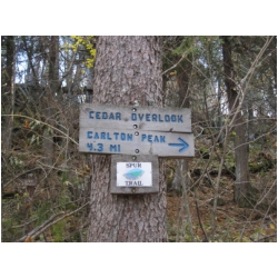 carlton peak trail.jpg