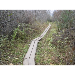 well cared for trails.jpg