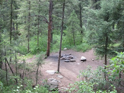 Near Lyell Fork bridge