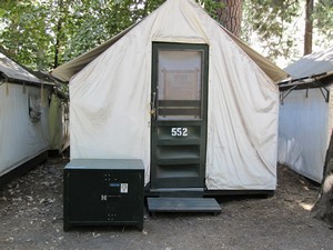 Curry Village cabins