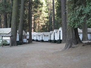 Curry Village cabins