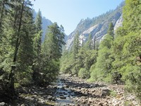 JMT