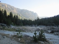 JMT