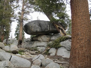 How the heck did that rock get there? Cool rock