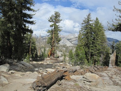 Views on JMT Views on JMT