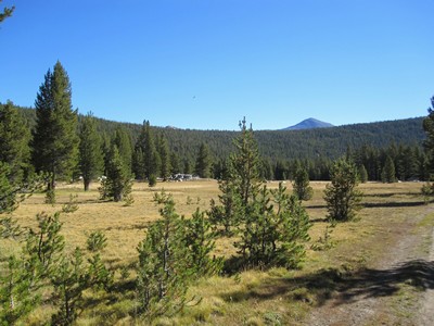 Lyell Fork Lyell Fork