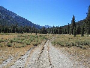Trail carved by hikers Trail carved by hikers