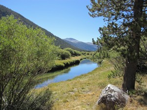 Lyell Fork River Lyell Fork River