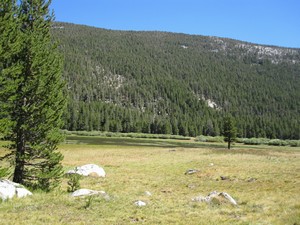 Lyell Canyon Lyell Canyon