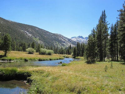Lyell Canyon Lyell Canyon