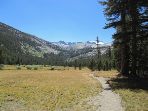 Lyell Canyon Lyell Canyon