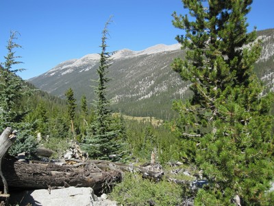 Lyell Canyon Lyell Canyon
