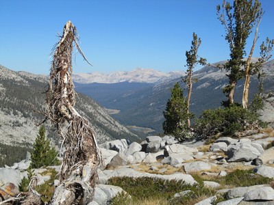 Lyell Canyon