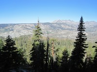 JMT