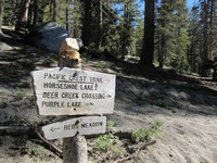 JMT