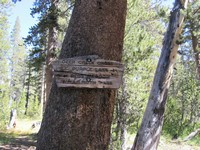 JMT