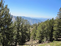 JMT