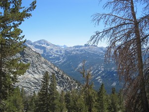 JMT
