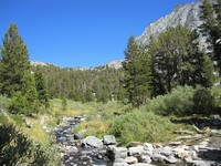 JMT