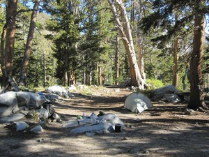 Day 8 camp