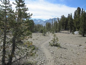 Heading to Fish Creek