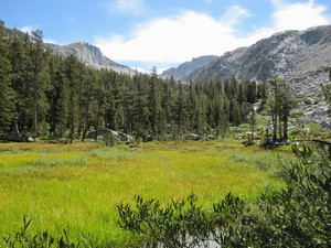 Below Silver Pass