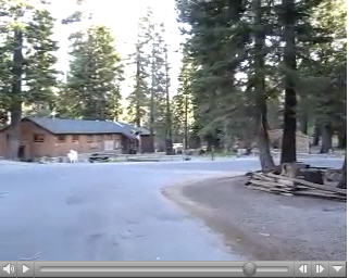 Reds Meadow