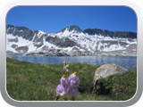 IMG_1900