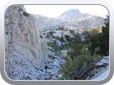 IMG_1931