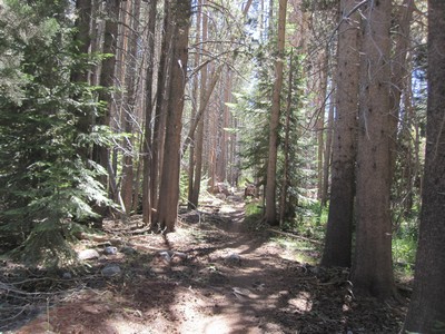 JMT