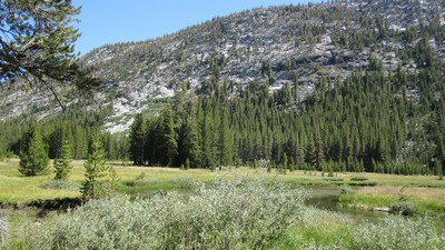 Evolution Valley