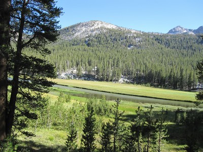 McClure Meadow