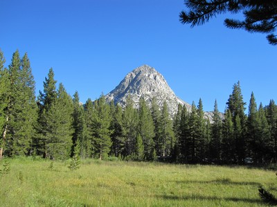 Colby Meadow