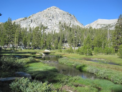 Rosemarie Meadow