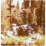 Shortys cabin
