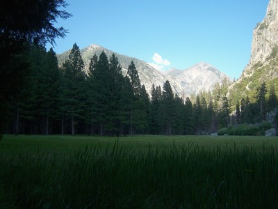 Zumalt Meadow