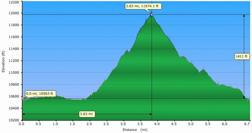 Day 4 Profile