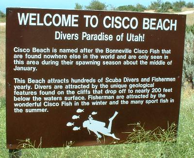 Cicso Beach Scuba Bear Lake Utah