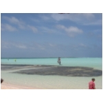 windsurf2.jpg