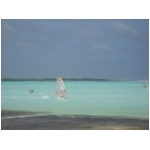 windsurf3.jpg