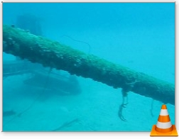 Bonaire Hilma Hooker