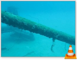 Bonaire Hilma Hooker