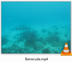 Bonaire Hilma Hooker
