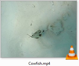 Bonaire Invisibles