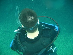 Vortex Springs scuba