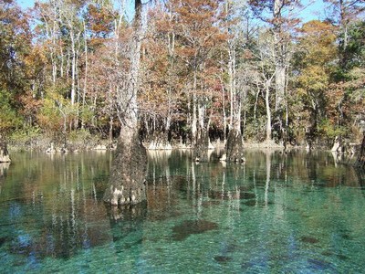 Morrison Springs scuba